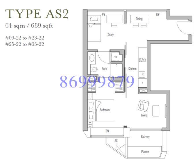 V On Shenton (D1), Apartment #158750382